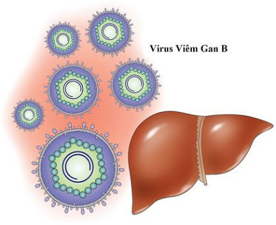 CÁC LOẠI THUỐC DÙNG TRONG ĐIỀU TRỊ VIÊM GAN B MÃN TÍNH