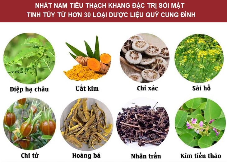 Dược liệu quả dụng trong bài thuốc chữa sỏi mật Nhất Nam Tiêu Thạch Khang