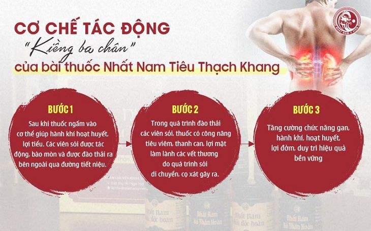 Cơ chế tác động kiềng ba chân chữa sỏi mật trong bài thuốc Nhất Nam Tiêu Thạch Khang